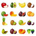 Vector illustration with ripe fruits and slices