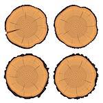 Vector illustration of tree rings textures and saw cut tree trunk