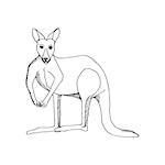 hand draw a kangaroo-style sketch on a black and white background, used for banners, flyers, coloring books, tattoo