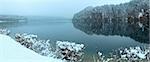 Winter Alpsee lake panorama with trees reflection. Cloudy view.