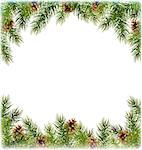Green Christmas Tree Pine Branches with Pinecones Like Frame with Snowfall on White Background