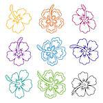 Colorful vector hibiscus flower outline icons on white