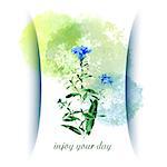 Vector greeting card with wild flowers. Summer background