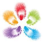Five multi-colored feathers on a white background. Vector, isolated objects. This file contains the brush allows you to draw fluffy feathers in one motion