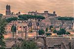 Rome, Italy: The Roman Forum, Latin: Forum Romanum, Italian: Foro Romano, in the sunrise. Old Town of the city