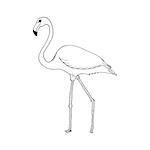 hand draw flamingo style sketch on a black white background, used for banners, flyers, coloring books, tattoo