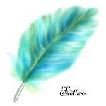 Blue and green fluffy feather isolated on white background. Vector illustration.