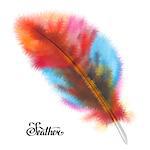 Fluffy multicolor feather isolated on white background. Vector illustration.