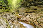 Creek with pure water in the deep dark canyon. Caucasus. Russia.