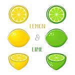 Vector lemon and lime illustrations isolated on white