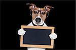 jack russell terrier dog isolated on black background holding blackboard,  with glasses , looking very smart and cool