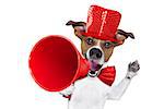 jack russell dog ,shouting  and advertising  sale discount  with retro megaphone or big microphone with party hat and tie , isolated on white background