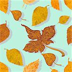 Autumn colored leaves seamless illustration on soft green background
