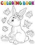 Coloring book rabbit topic 2 - eps10 vector illustration.