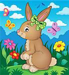 Rabbit topic image 3 - eps10 vector illustration.