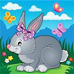 Rabbit topic image 4 - eps10 vector illustration.