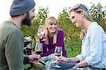 Group of friends drinking wine on garden party