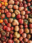 Various Heirloom tomatoes (seen from above)