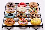 Various colourful doughnuts on a wire rack