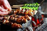 Grilled yakitori skewers (Japan)