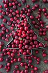 Lingon berries in a Christmas tree cutter