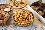 Porcini mushrooms, chanterelle mushrooms and morel mushrooms on a table with a white tablecloth