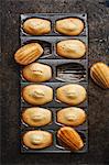 Madeleines in a baking tin (seen from above)