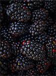 Many Whole Blackberries