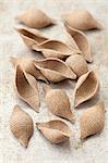 Wholemeal pasta shells