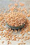 Spelt seeds in a ceramic bowl