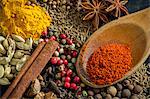 Various spices (close-up)