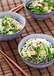Vegetable noodle salad with coriander (Asia)
