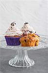 Cupcakes with elderberries with elderberry cream