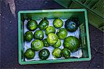 Round courgettes in a crate