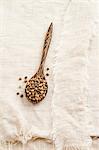 Hemp seeds on a spoon
