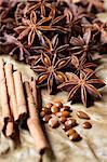 An arrangement of spices with star anise and cinnamon