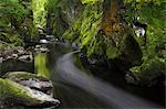 Fairy Glen in autumn, Betwys-y-Coed, Conwy Valley, Wales, United Kingdom, Europe