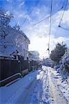 Toriimoto in snow, Sagano, Kyoto,Japan