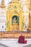 Buddhist monk praying at Shwedagon Pagoda (Shwedagon Zedi Daw) (Golden Pagoda), Yangon (Rangoon), Myanmar (Burma), Asia