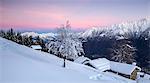 Pink sky at dawn above snow covered huts and trees, Tagliate Di Sopra, Gerola Valley, Valtellina, Orobie Alps, Lombardy, Italy, Europe