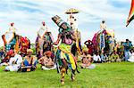 Dancer at the Jaipur elephant festival, Jaipur, Rajasthan, India, Asia