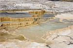 Canary Spring, Travertine Terraces, Mammoth Hot Springs, Yellowstone National Park, UNESCO World Heritage Site, Wyoming, United States of America, North America