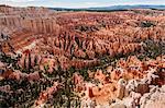 Bryce Canyon National Park Utah, United States of America, North America