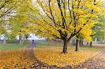 Autumn colours in Leazes Park, Newcastle Upon Tyne, Tyne and Wear, England, United Kingdom, Europe