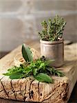 Variety of fresh herbs and jar on rustic wood