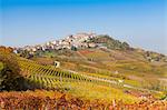 View of autumn vineyards and hill village, Langhe, Piedmont, Italy