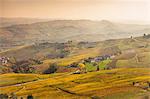 Elevated view of valleys and distant autumn vineyards, Langhe, Piedmont, Italy