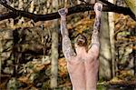 Rear view of tattooed mid adult man in forest doing pull up on tree