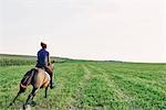 Rear view of woman galloping on bay horse in field