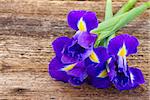 fresh iris flowers on wooden table background